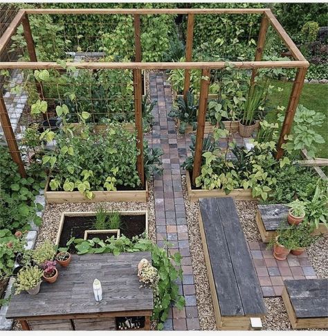 Lots Of Plants, Greenhouse Garden, Backyard Garden Layout, Garden Idea, Veg Garden, School Garden, Vegetable Garden Design, Garden Trellis, Garden Structures