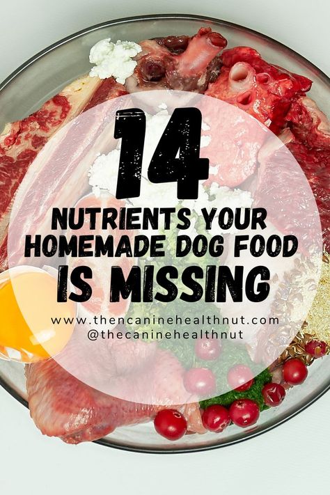 Diy Dog Food Recipes Homemade, Diy Dog Food Recipe For Allergies, All Natural Dog Food Recipes How To Make, Limited Ingredient Dog Food Recipes, Healthy Homemade Dog Food For Older Dogs, Nutritional Homemade Dog Food, Diy Dog Food Small Breed, Homemade Dog Food Puppy, Making Dog Food For Small Dogs