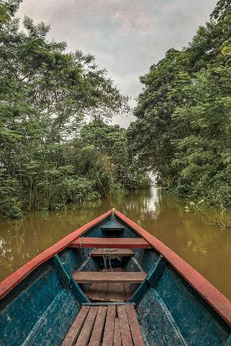 Brazil Amazon, The Amazon Rainforest, Amazon River, Amazon Rainforest, Beautiful Travel, The Amazon, America Travel, Central America, Awe Inspiring