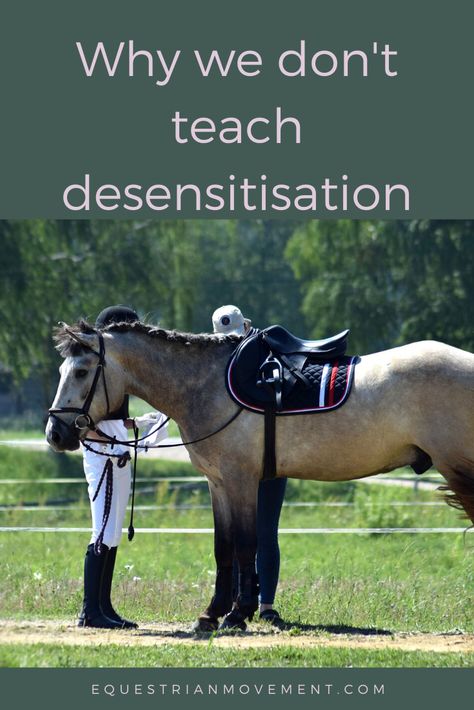 Horse Education, Centered Riding, Working Equitation, Horse Behavior, Horseback Riding Tips, Horse Knowledge, Riding Tips, Horse Care Tips, Horse Riding Tips