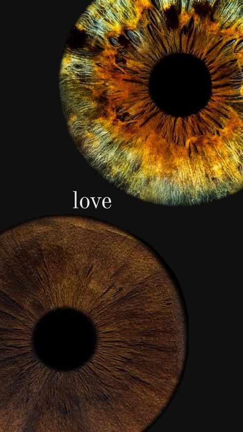 Pretty Eyes Color, Brown Eyes Aesthetic, Couples Things To Do, Art Photography Portrait, Eyes Wallpaper, Gorgeous Eyes, Bullet Journal Ideas Pages, Eye Art, Pretty Eyes