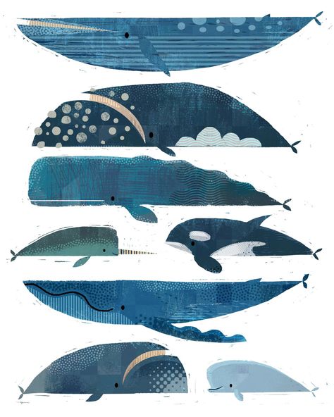 Shark Illustration, Whale Drawing, Whale Illustration, Whale Pattern, Whale Art, Marine Mammals, Fairytale Art, Whale Shark, Illustration Character Design