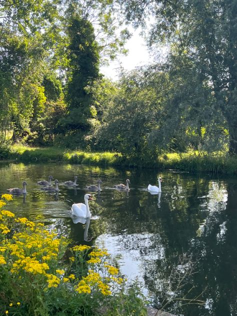 Cozy England Aesthetic, London Countryside Aesthetic, Cambridge Uk Aesthetic, England Countryside Aesthetic, Cambridge University Aesthetic, Ucas Application, British Summer Aesthetic, London Summer Aesthetic, Cambridge Aesthetic