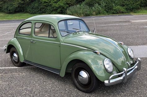 Volkswagen Beetle Convertible, Hippie Bus, Classic Volkswagen, Old Vintage Cars, Beetle Car, The Beetle, Vw Beetle Classic, Vintage Volkswagen, Volkswagen Car