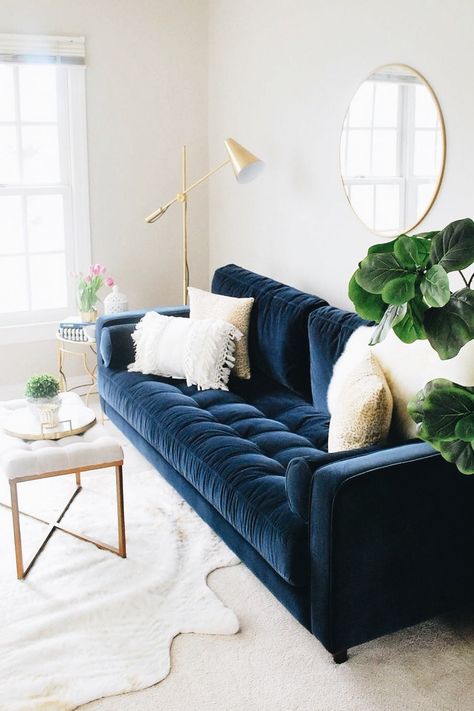 Blue Couch Living, Blue Sofa Living, Blue Velvet Couch, Blue Sofas Living Room, Blue Couch Living Room, Blue Couch, Velvet Couch, 카페 인테리어 디자인, Blue Living Room