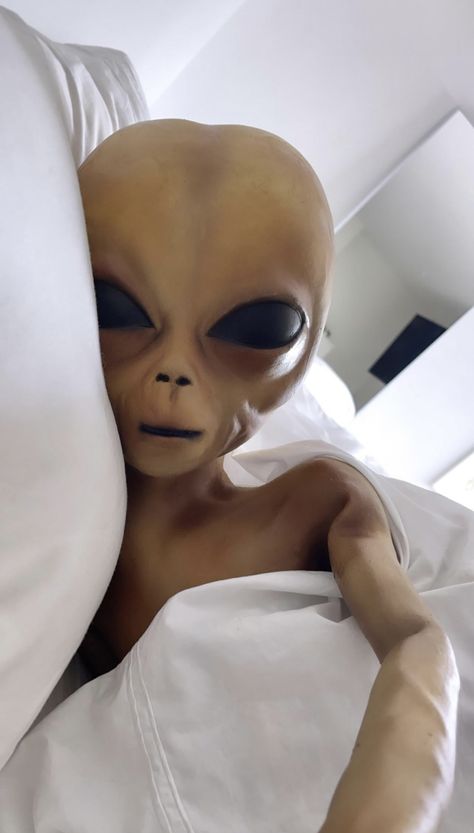 Alien Memes Funny, Paul The Alien, Alien Meme, Hot Alien, Funny Mugshots, Monster Alien, Scary Alien, Funny Alien, Aliens Funny