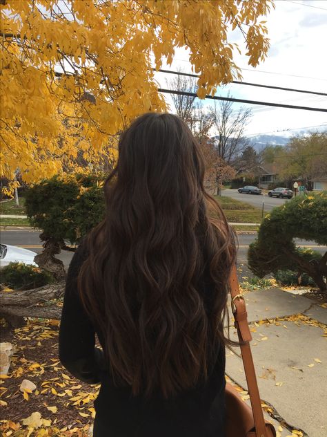 Fall balayage hair. Brunette balayage. Low lights. Long brunette. Brunette Aesthetic, Dark Brunette Hair, Long Brunette Hair, Brown Hair Inspo, Long Brunette, Long Brown Hair, 짧은 머리, Hair Inspo Color, Brunette Hair