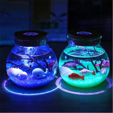 custom items Clay Jar Lamp, Ocean Bottle, Fish Bowls, Aquarium Led, Fish Lamp, Led Aquarium, Ocean At Night, Desain Buklet, Led Night Lamp