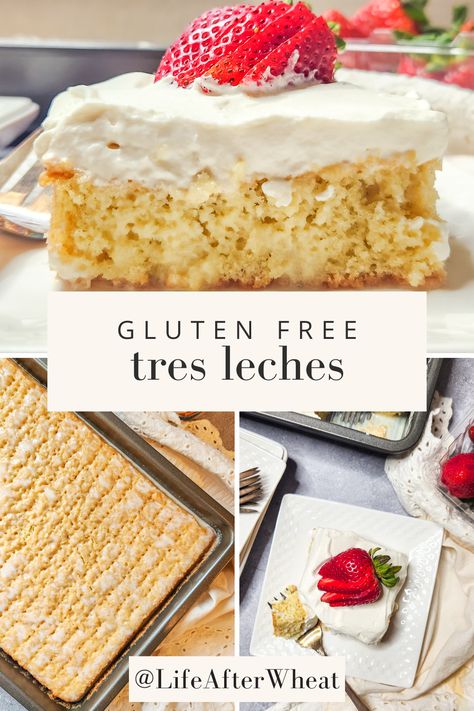 Learn how to make the best gluten free tres leches cake. Our pro tip shows you how to make it not soggy so you can enjoy a perfectly creamy, milky cake that's delicious to the last bite. Gluten Free Tres Leches, Easy Tres Leches Cake Recipe, Easy Tres Leches Cake, Easy Tres Leches, Three Milk Cake, Leche Cake, Tres Leches Cake Recipe, Cake Recipes At Home, Gluten Free Cake Recipe