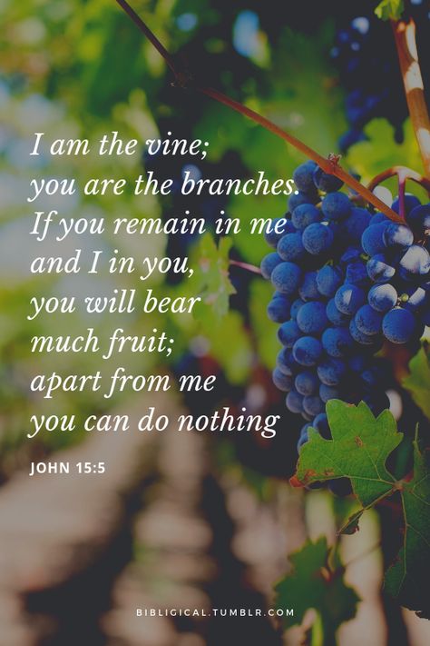 I Love Jesus: Photo You Are The Vine I Am The Branches, The Vine And The Branches, John 15 5 Wallpaper, John 15:5 Tattoo, I Am The Vine You Are The Branches, John 15:5, John Kjv, Biblical Feasts, John 15 4