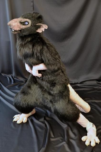 Rat Fursuit, Fur Suits, Fursuit Head, Adornos Halloween, Animal Costumes, Spirit Dolls, Creature Design, Stop Motion, Larp