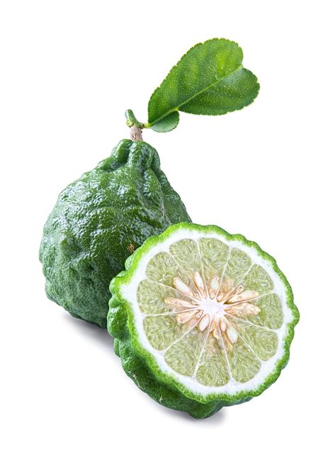 12 Amazing Kaffir Lime Benefits Kaffir Lime Recipes, Lime Benefits, Culinary Tattoos, Lime Uses, Lime Recipes, Kaffir Lime Leaves, Lime Essential Oil, Fragrance Ingredients, Lime Tree