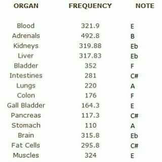 USING TUNING FORKS our organs have a different vibration. When someone is suffering it normally means that that specific organ is out of a healthy vibration. Hz Frequencies, Frequency Chart, Quantum Energy, Frequency Healing, Healing Tones, Tuning Forks, Chakra Health, Solfeggio Frequencies, Healing Remedies