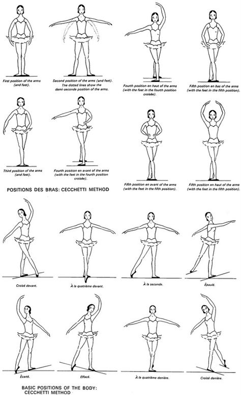 Posiciones                                                                                                                                                      Más Ballerina Poster, Ballet Basics, Dancing Poses, Ballet Positions, Ballet Technique, Ballet Moves, Dance Technique, Vintage Ballerina, Ballet Exercises