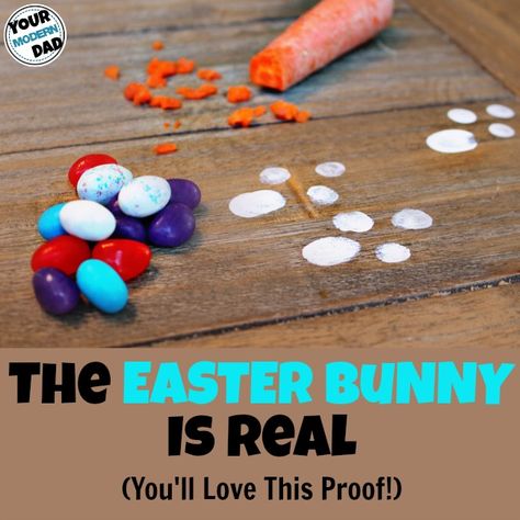 the Easter Bunny is real (you'll love this proof!) Easter Bunny Tracks, Easter Bunny Footprints, Easter Movies, Easter Books, Easter Hunt, Easter Games, Easter Morning, The Easter Bunny, Easter Traditions