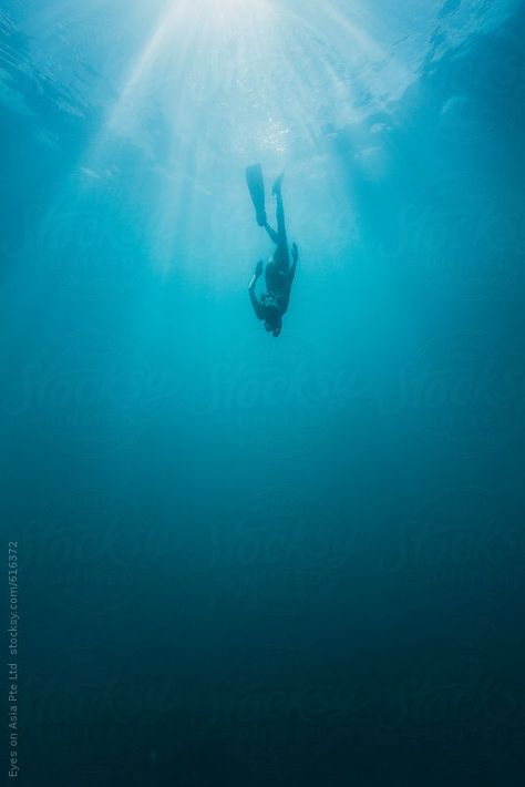 Amed Bali, Free Diver, Diving Underwater, Navy Diver, Water Frame, Underwater Photographer, Real Mermaids, Free Diving, Underwater Photos