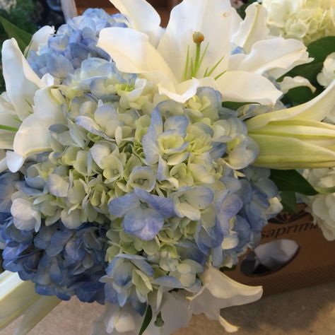 Hydrangea and lilies bouquet Hydrangea And Lily Bouquet, Lily And Hydrangea Bouquet, Wedding Flowers Lilies, Josie Wedding, Lilies Bouquet, Blue Hydrangea Bouquet, Bouquet Hydrangea, Hydrangea Flower Arrangements, Hydrangea Bouquet Wedding