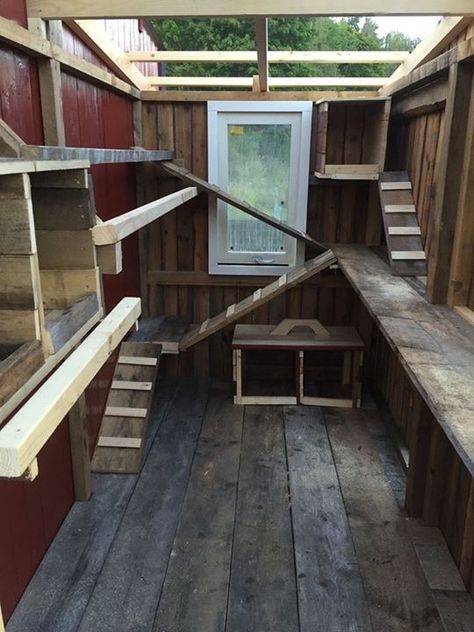 Pallet Backyard, Decorating Backyard, Coop Layout, Inside Chicken Coop, Coop Decor, Oasis Backyard, Cute Chicken Coops, Chicken Barn, Gardening Backyard