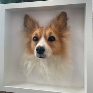 3D felted dog portrait, custom pet portrait, made to order, Chihuahua, Pommeranian, Yorkie, Shih Tzu, Dachshund, dog memorial, wall decor - Etsy Brasil Toy Spaniel, Felted Dog, Memorial Wall, Papillon Dog, Needle Felted Dog, Personalized Pet Memorial, Felt Dogs, Handmade Pet, Felted Animals