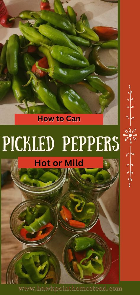 This easy recipe for pickled sweet or hot peppers for canning is a great recipe with very few ingredients and like it says, can be used to pickle sweet or hot peppers, or use a variety of peppers! Enjoy the flavorful pickled peppers all winter long with this pickled pepper simple recipe. It is delicious with any kind of pepper, including jalapeno peppers. Pickled banana peppers are great too! Pickled peppers are awesome in so many recipes, including scrambled eggs, tacos, potato salad, pizza. Pickled Mixed Peppers Recipe Canning, Canned Pickled Hot Peppers, Pickles Hot Peppers, Hot Pickled Peppers Canning Recipes, Easy Pickled Peppers, Pickles Peppers Recipe, Pickled Peppers Canning, Pickling Hot Peppers, Pickled Jalapeno Peppers Recipe