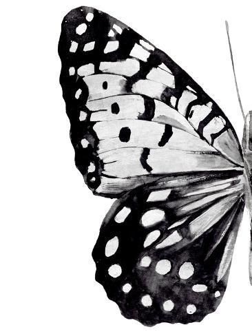 Art Print: Monochrome Wings I by Annie Warren : 12x9in Monochromatic Art Black And White, Gray Pictures For Wall Collage, Y2k Wall Prints Black And White, Aesthetic Prints Black And White, High Contrast Painting, Canvas Painting Ideas Black And White, Black Butterfly Drawing, Popcorn Black And White, Black And White Prints For Wall