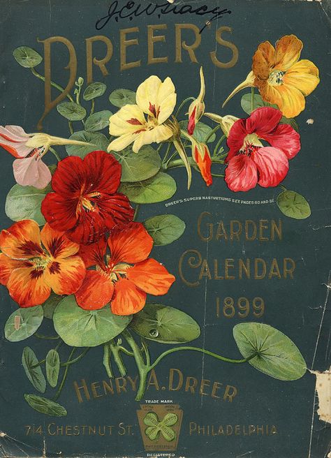 #houseofpackaging | Vintage Packaging: Flower Seed Packets from the 1800s. Philadelphia, 1899. Via Jamaica Byles. Retro Signs Vintage, Vintage Seed Packets, Flower Seeds Packets, Seed Packaging, Garden Calendar, Flowers Painted, Seed Catalogs, Vintage Packaging, Illustration Vintage