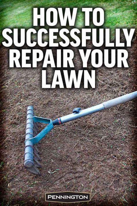 When the need for patching or spot repair arises, lawn owners need a solution that provides quick, simple, luxuriant results. Confidently turn to One Step Complete to repair and maintain lush lawns. Lawn Repair Step By Step, Front Yard Herb Garden, Lawn Repair, Billionaire Lifestyle Luxury Living, Lush Lawn, Garden Suite, Lawn Maintenance, Garden Villa, Luxury Garden