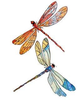 Dragonfly Illustration, Dragonfly Artwork, Dragonfly Drawing, Amazing 3d Tattoos, Fly Drawing, Dragonfly Painting, Dragonfly Tattoo Design, 3d Tattoos, Dragonfly Art