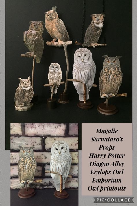 Magalie Sarnataro's props Harry Potter- Eeylops Owl Emporium window owls on perches -Diagon Alley. Halloween 2018 - printouts owls, wood stick, foam boards and Spray paint Harry Potter Owl Diy, Owls Harry Potter, Harry Potter Owlry, Eeylops Owl Emporium Diagon Alley, Harry Potter Owlery, Harry Potter Tea Party, Harry Potter Library, Harry Potter Birthday Invitations, Library Assistant