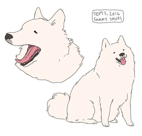 Dog Refrence Drawings, Person With Dog Drawing Reference, Anime Dog Drawing, Dog Boy Art, Samoyed Illustration, Cute Dogs Drawing, Samoyed Drawing, Dog Cute Drawing, Doggo Drawing