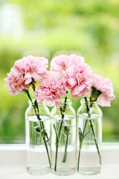 Why Carnations Might Be the Best Wedding Flower Ever http://www.womangettingmarried.com/wedding-flowers-carnations/ Carnation Wedding Flowers, Carnation Wedding, Pink Carnations, Carnation Flower, Wedding Flower Arrangements, Baby's Breath, Glass Vases, Love Flowers, Pretty Flowers