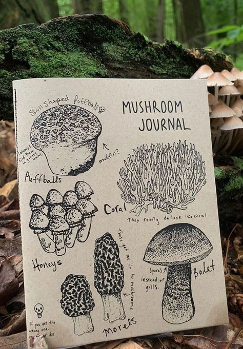 Cool Mushroom Drawing, Foraging Journal, Mushroom Drawing Ideas, Mushroom Journal, Mushroom Watercolor, Fungi Illustration, Mushroom Foraging, Watercolor Painting Ideas, Beautiful Dawn