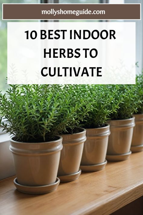 Discover the best herbs to grow indoors with our comprehensive guide to indoor gardening. From medicinal herbs to flavorful additions for your home-cooked meals, these herbs thrive inside year-long. Create your own indoor herb garden by growing herbs in pots or on your windowsill. Explore container gardening herbs perfect for urban spaces and learn about the easiest herbs to grow indoors. Indoor Herb Garden Sunroom, Growing Herbs From Seeds Indoors, Potted Herbs In Kitchen, Indoor Food Garden Ideas, Indoor Growing Setup, Herb Garden Apartment, Kitchen Herb Garden Indoor, Inside Herb Garden Ideas, Best Herb Garden