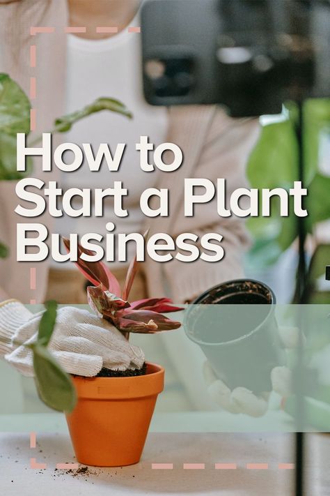 Plant Shop Design Ideas, Horticulture Business Ideas, Plant Trailer Ideas, How To Start An Online Plant Shop, Small Business Plant Shop, Open A Plant Shop, Plant Bussines Idea, Plant Shop Ideas Inspiration, Selling Plants Online