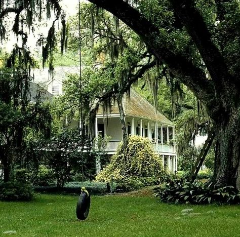 Louisiana Photography, Southern Gothic Aesthetic, Southern Aesthetic, Louisiana Plantations, Louisiana Bayou, Louisiana Travel, Southern Plantations, Louisiana Homes, Colonial Design