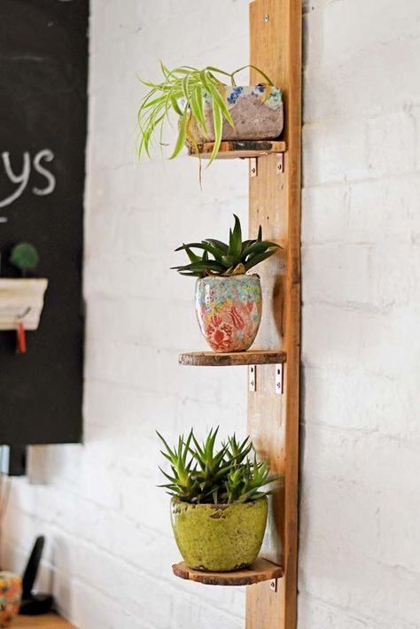 Diy Shelves Design, Diy Shelves Ideas, Upcycle Wood, Diy Storage Ideas, Indoor Plant Shelves, Diy Rustic Decor, Beautiful Storage, Diy Planters, Plant Shelves