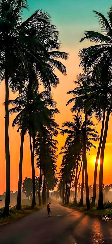 Sun Set Wallpaper Iphone Wallpapers, Sun Set Aesthetic Wallpaper, Beautiful Sunrise Wallpaper, Sun Rise Wallpaper, Aesthetic Sun Set, Sun Set Aesthetic, Sun Set Wallpaper, Sun Set Photography, Hd Iphone Wallpaper