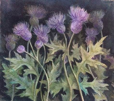 Field of thistles - dark and moody watercolour Thistle Aesthetic, Pangur Ban, River Enchanted, Bog Witch, Jonathan Strange, Dark And Moody, Scottish Thistle, Room Wallpaper, Rwby