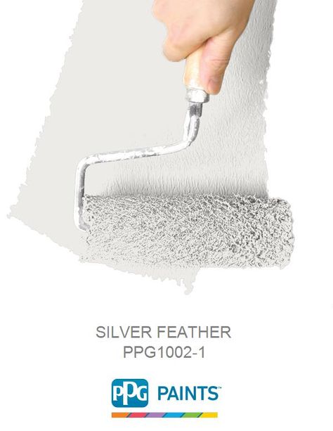 SILVER FEATHER is a part of the Off-Whites collection by PPG Paints™. Browse this paint color and more collections for more paint color inspiration. Delicate White Paint Color, Delicate White Paint Color Ppg, Ppg Delicate White, Ppg Paint Colors, Pittsburgh Paint, Ohio House, Kitchen 2024, Ppg Paint, Painting Walls