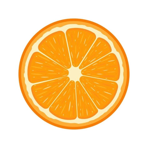 Fresh half orange fruit isolated on white background. Tangerine. Organic fruit. Cartoon style. Vector illustration for any design Vector Fruit Illustration, Orange Illustration Graphics, Orange Clipart, Orange Vector, Fruit Icons, Cartoon Fruit, Fruit Cartoon, Orange Cut, Fruit Vector