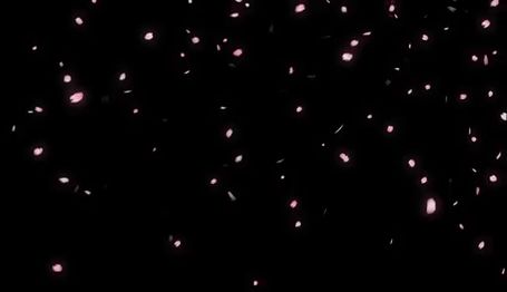 Pink And Black Gif Header, Black And Pink Banner Discord Gif, Effect Gif Png, Stars Discord Banner, Black And White Discord Banner Gif, Pink And Black Banner Gif, Star Overlay Gif, Black Wallpaper Gif, Pink And Black Banner