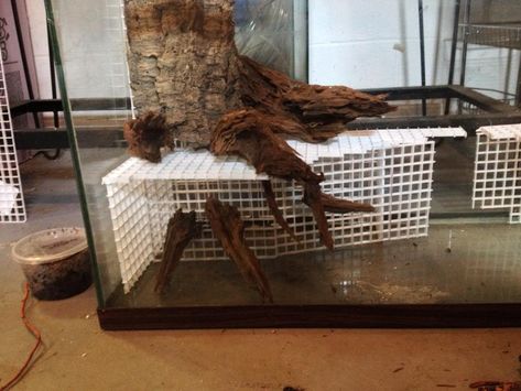 Click the image to open in full size. Waterfall Vivarium, Vivarium Waterfall, Terrarium Stand, Diy Reptile, Frog Terrarium, Snake Enclosure, Turtle Aquarium, Gecko Terrarium, Fish Tank Terrarium