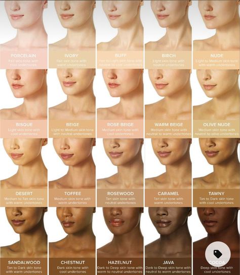 Skin Tone Chart, Skin Tone Makeup, Neutral Skin Tone, Airbrush Foundation, Sunkissed Skin, Skin Undertones, Warm Skin Tone, Cool Skin Tone, Skin Color Palette