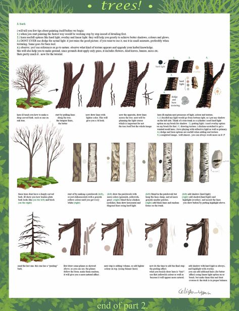 Tree Tutorial, Download Button, Watercolor Trees, Tree Drawing, Art Instructions, Tree Bark, Watercolour Tutorials, Realistic Drawings, Tree Art