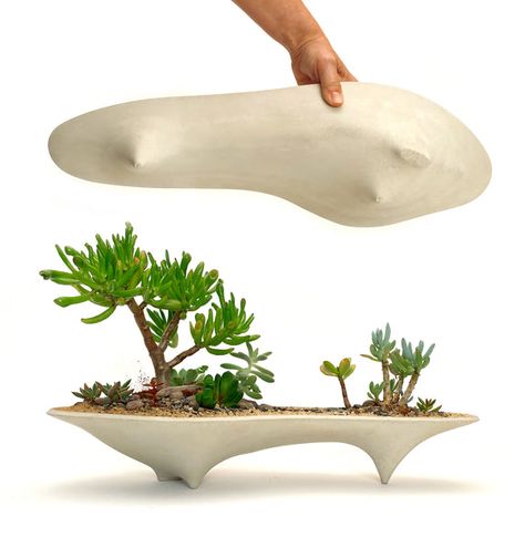 Homepage collection Long Planter, Planter Centerpiece, Centerpiece Home, Succulent Bonsai, Modern Planter, Black Planters, Planter Gift, Ceramic Succulent, Deco Nature