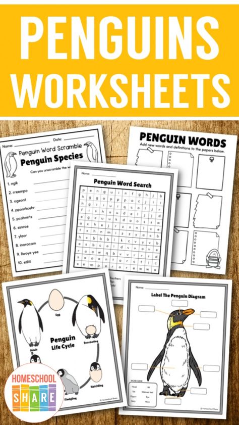 Penguin Worksheets (free printables!) - Homeschool Share Penguin Free Printable, Penguin Worksheets, Penguin Research, Penguin Life Cycle, Penguin Printable, Homeschool Science Lessons, Penguin Unit, All About Penguins, Penguin Activities