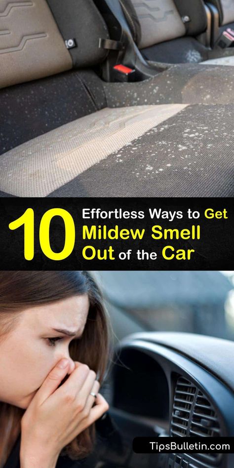 Explore car odor eliminator options for a bad smell coming from your car AC or interior. Clean mold from the seats and carpet with white vinegar, and remove your cabin air filter to clean the air conditioner to get rid of mildew odor for good. #remove #mildew #smell #car How To Clean Mold From Car Interior, Mildew Smell Out Of Carpet, How To Get Mildew Smell Out Of Carpet, Car Odor Eliminator Diy, Car Cleaning Tips Interior, Car Smell Hacks, Car Upholstery Cleaner Diy, Odor Eliminator Diy, Car Smell Good