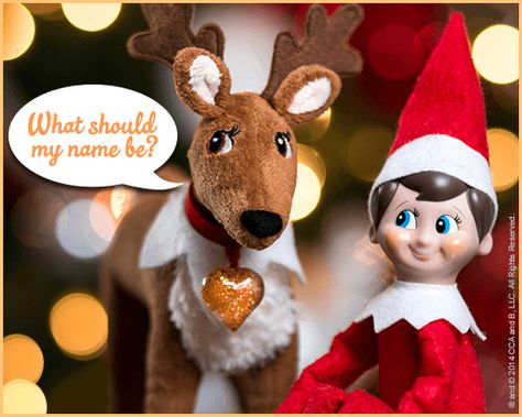 THE ELF ON THE SHELF~ Elf Pets™ Reindeer | Elf on the Shelf Names Elf On The Shelf Gifts, Christmas 1st Grade, Elf On The Shelf Accessories, Reindeer Pet, Christmas Questions, Christmas Bokeh, Elf Princess, Elf Pets, Elf Shelf