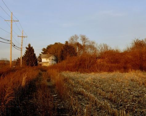 Fall Mood Board, Power Lines, Season Of The Witch, Trailer Park, Best Seasons, We Fall In Love, Autumn Aesthetic, Coraline, Fall Vibes