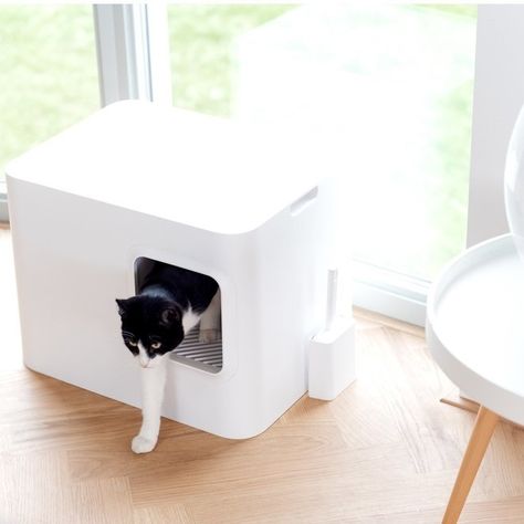 Modern Minimalist Cat Litter Hoopo Dome 10% OFF this weekend. 🐈💩 Dog Litter Box, Rabbit Litter, Cat Furniture Design, Large Cat Breeds, Rabbit Litter Box, Litter Robot, Cat Litter Tray, Litter Box Enclosure, Cat Litter Box Furniture